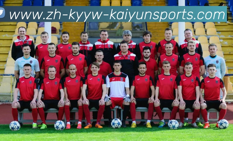 ky开云平台生态图