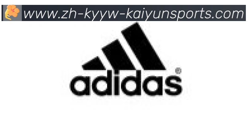 ky开云合作伙伴
